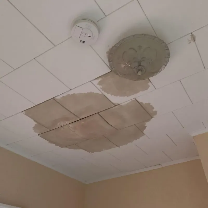 Ceiling Water Damage Repair in Bean Station, TN