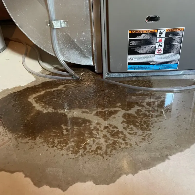 Pipe Burst and Leak Restoration in Bean Station, TN