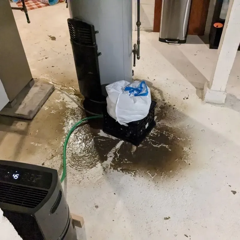 Sewage Backup Cleanup Service in Bean Station, TN